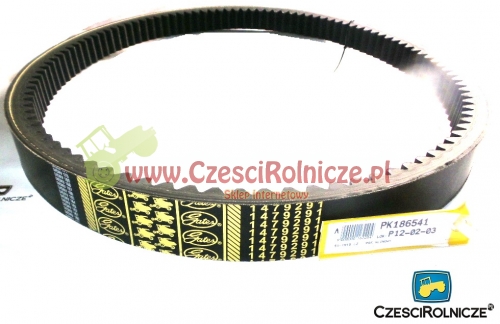 50-1915 LZ PAS KLINOWY 661429