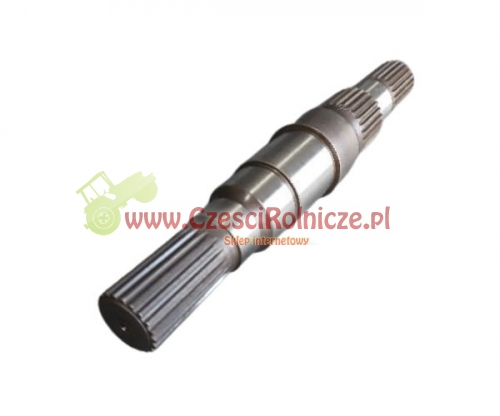 SCE083033-ZAM.jpg