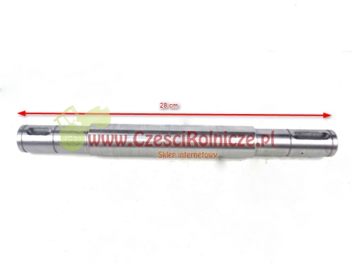 BI22003-001.jpg