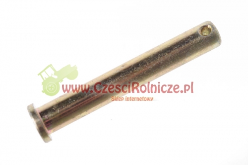 SWORZEŃ 12* 84 Z KOŁ. [UB351005]