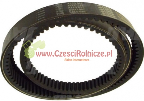 PK24607-C.jpg