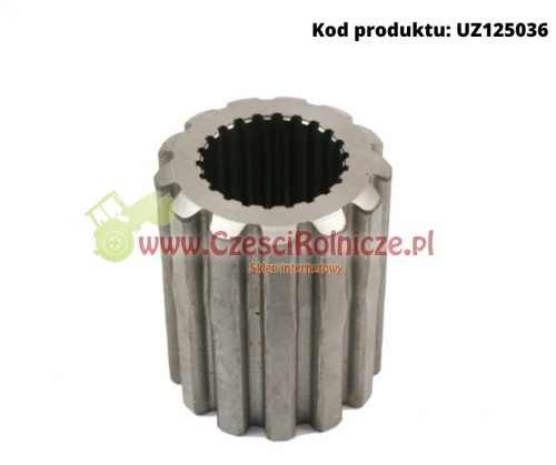 UZ125036.jpg