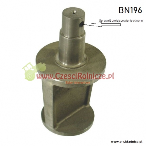 BN196.jpg