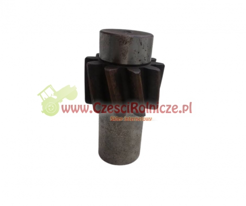 Projekt bez tytułu (38).jpg