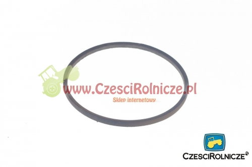 Z- 600 PAS KLINOWY