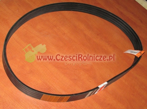 PASY KLINOWE DO CLAASA