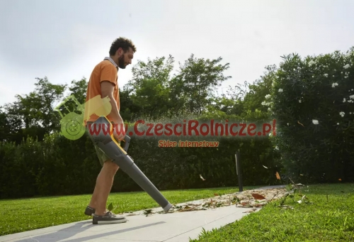 Screenshot 2024-07-24 at 12-56-26 Dmuchawa akumulatorow[...].png