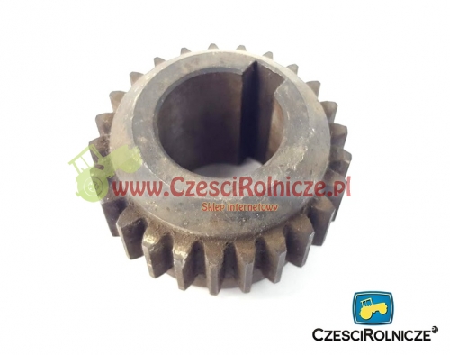 RW000021 KOŁO ZĘBATE Z=25  RCW 3