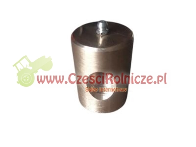 SCE068009-ZAM.jpg