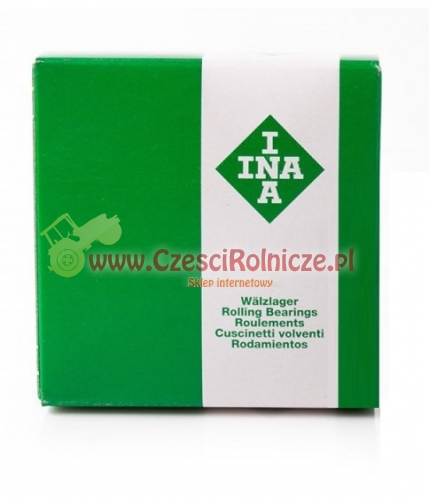 INA.jpg