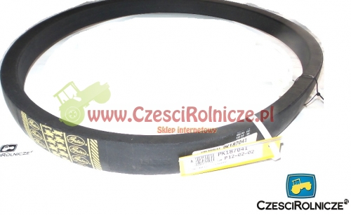 50-1920 LZ PAS KLINOWY 1913165, 661429