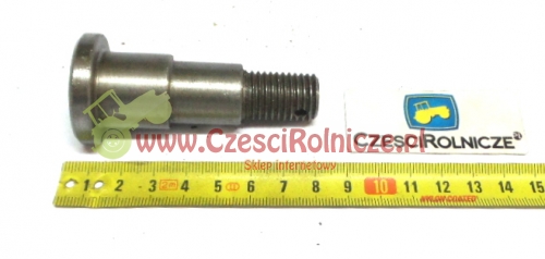 ro138. SWORZEŃ