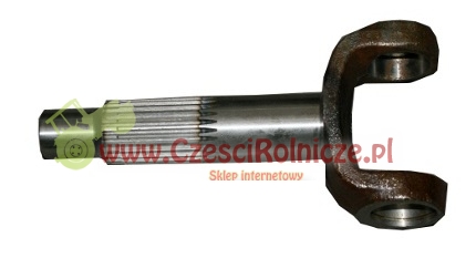 UZ064054.jpg