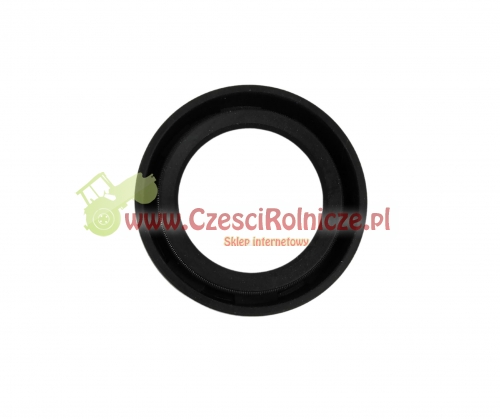 BN219-2.jpg