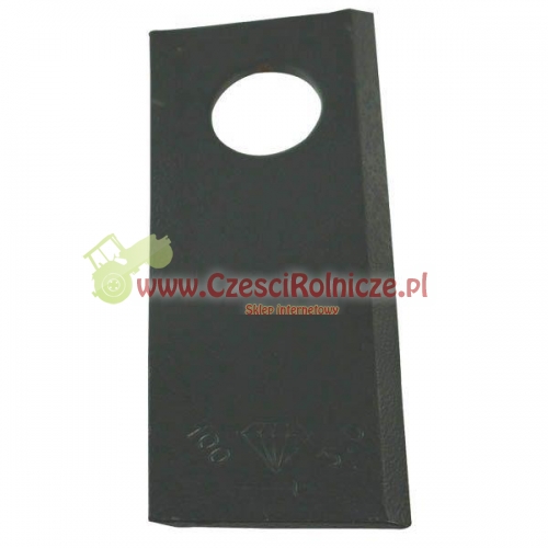 580290966KR.jpg