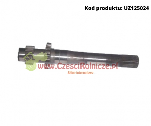 UZ125024.jpg