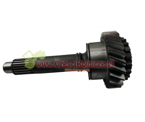 UD033754-2.jpg