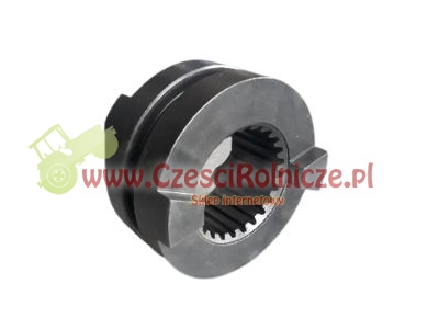 SCE097020-ZAM.jpg