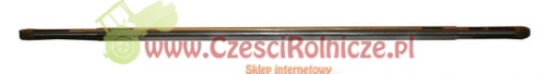 BI21003.jpg
