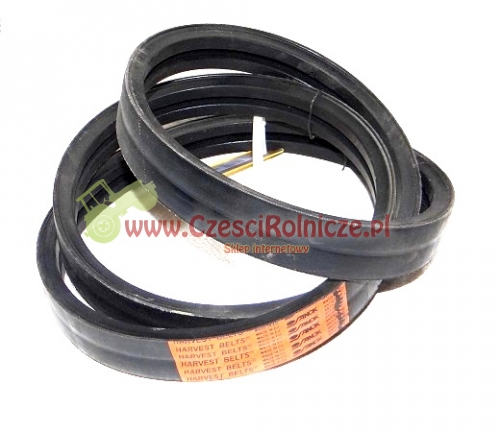 PAS KLINOWY 629763.0