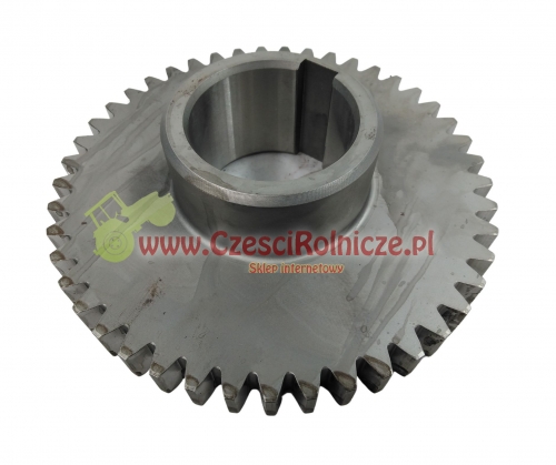 UZ032055-1.jpg