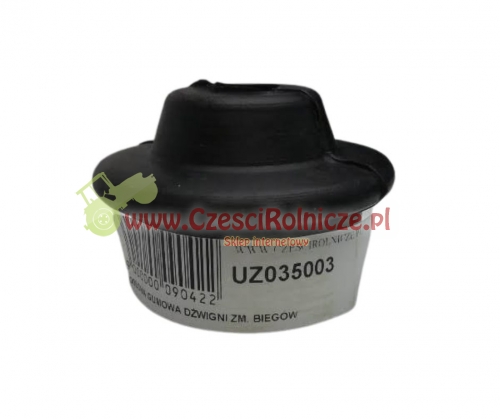 UZ035003-1.jpg