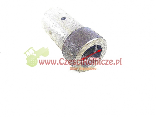 BI30312 (1).jpg