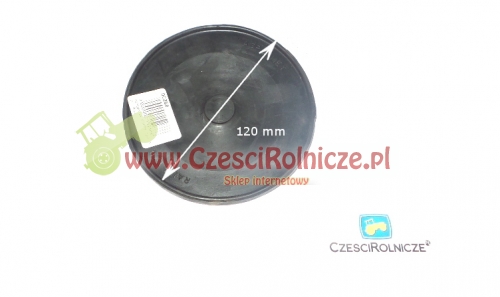 oc268 PRZEPONA GLÓWNA RAU FI 120