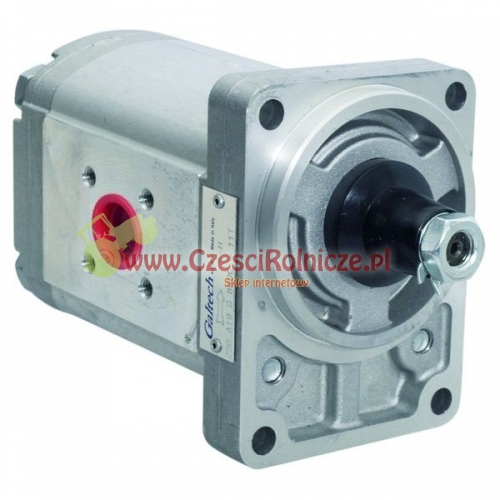 POMPA HYD. FI-80,0 2E 22 L W GALTECH 
