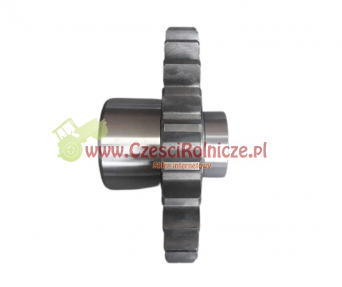 SCE111025-ZAM.jpg