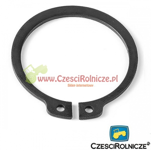 38Z PIERŚCIEŃ OSADCZY