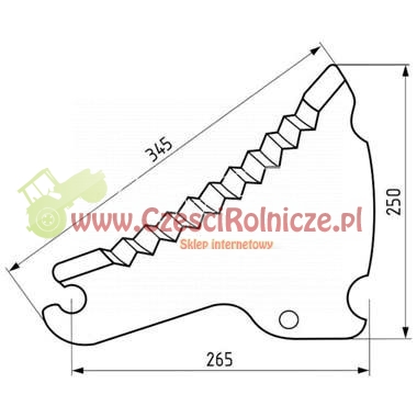 ZSF001.jpg