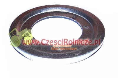 PIERŚCIEŃ NILOSOWY PODWÓJNY Fortschritt