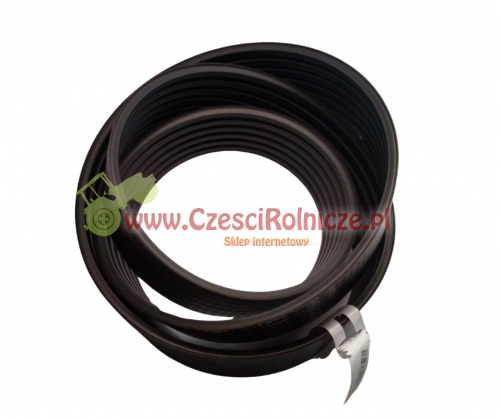 PK305240-G.jpg