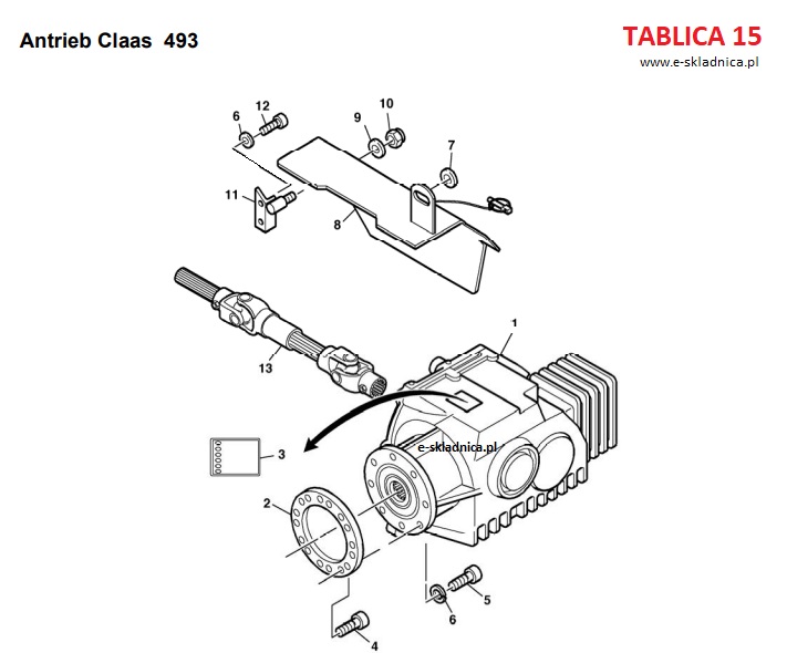 TABLICA 15